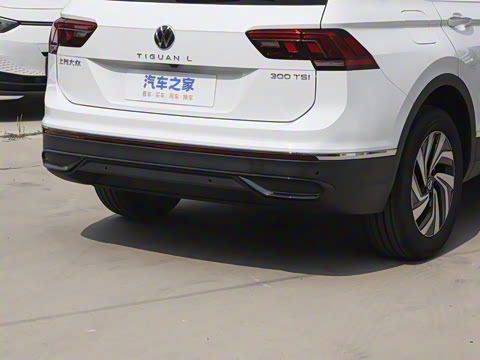 2024款 出众款 300TSI 自动两驱龙行版 2024款 出众款 300TSI 自动两驱龙行版