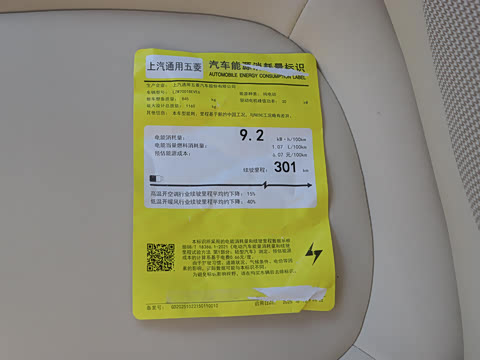 2025款 四门版 301km 臻享+款 2025款 四门版 301km 臻享+款