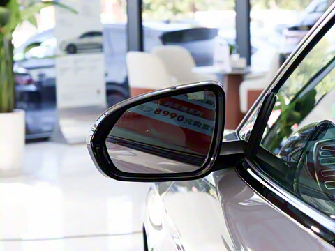 2025款 DM-i 智驾版 245KM尊荣型 2025款 DM-i 智驾版 245KM尊荣型