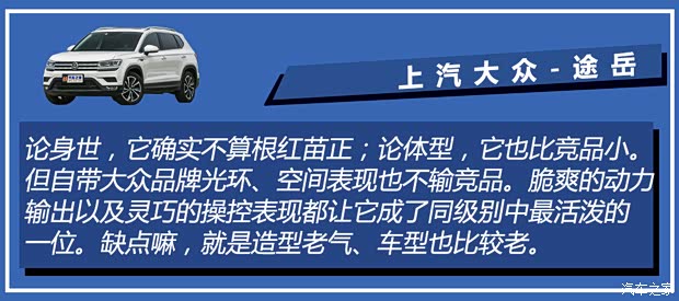上汽大众 途岳 2021款 280TSI 两驱豪华版PLUS