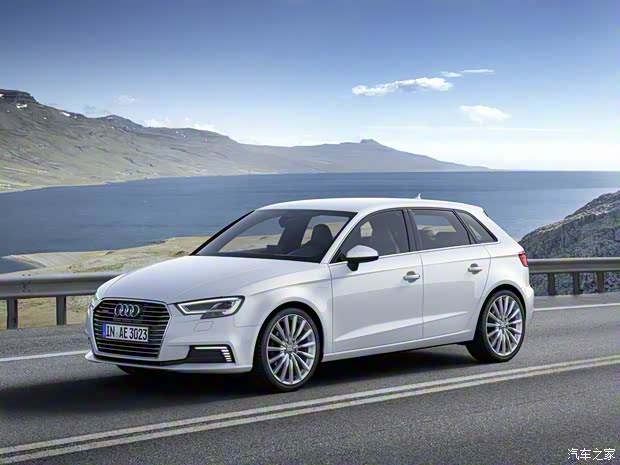 奧迪(進(jìn)口) 奧迪A3(進(jìn)口) 2016款 Sportback e-tron
