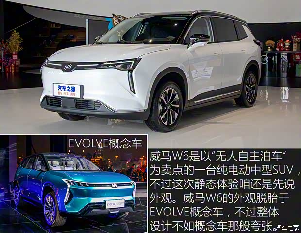 威马汽车 威马W6 2021款 基本型