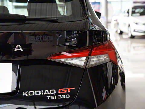 2019�� TSI330 ���������� ��VI