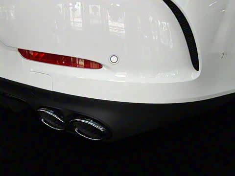 2019�� AMG GT 50 �����ܳ�