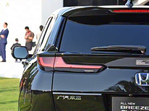 2020�� �񡤻춯 2.0L �����񡤻�ҹ��