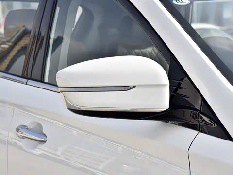 2020�� 1.6T DCT����Pro�� 6��