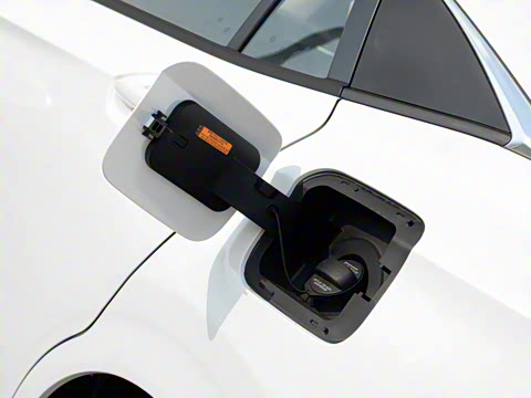 2020�� 230T �Զ��ſ�������