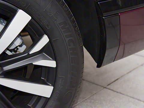 2020�� �񡤻춯 2.0L ����������