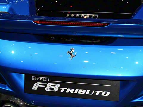 2019�� Tributo 3.9T V8