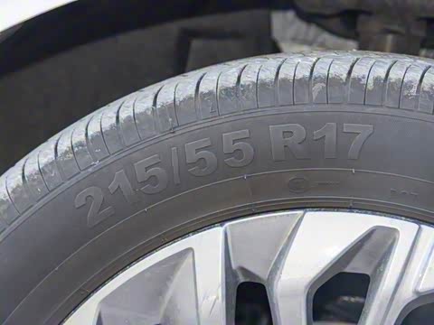 2020�� 1.3T PLUG IN ������