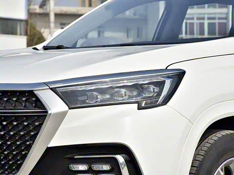 2020�� 1.6T DCT����Pro�� 6��