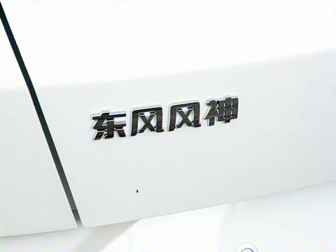 2020�� 230T �Զ��ſ�������