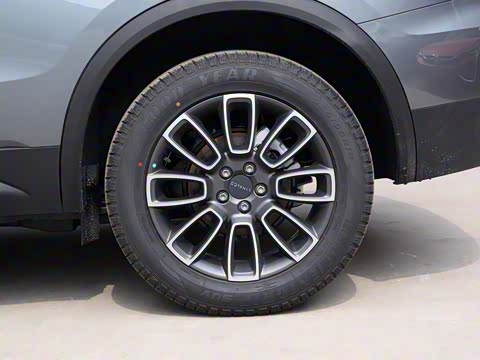 2020�� 2.0T ������Pro�� ��VI