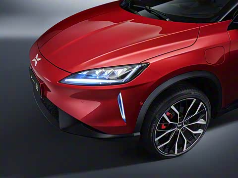 2019�� ������