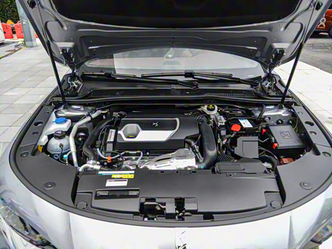 2021�� 45THP ���Ժ��