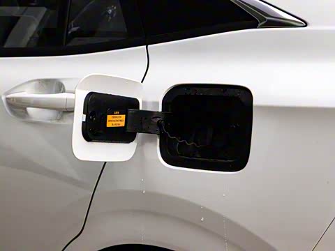 2020�� ������