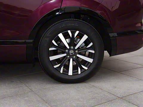 2020�� �񡤻춯 2.0L ����������