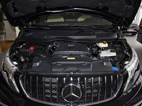 2020�� �������Ȱ�