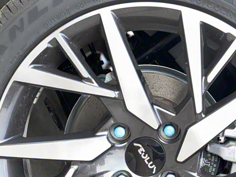 2020�� 230T �Զ��ſ�������