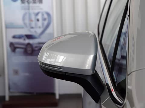 2020�� 330TSI ������