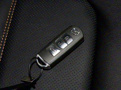 2020�� �Ŀ� 2.0L �Զ�����������