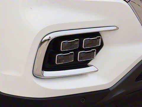 2019�� 30T ������������Ⱥ�����