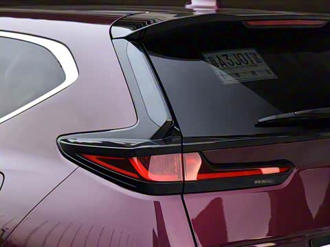 2020�� �񡤻춯 2.0L ����������