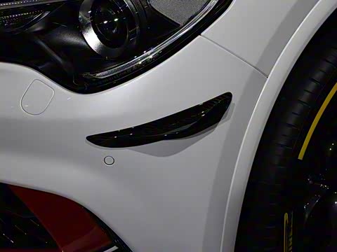 2019�� 2.9T 510HP F1������