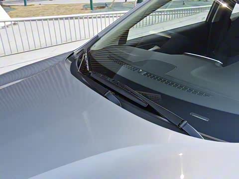 2019�� Redline 320T ˫���ˬ��� ��VI