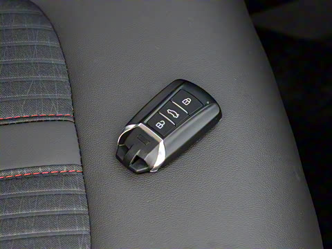 2020�� 230T �Զ��ſ�������