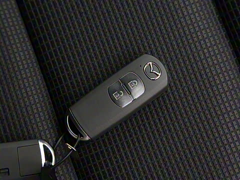 2020�� �Ŀ� 2.0L �Զ������ǻ���