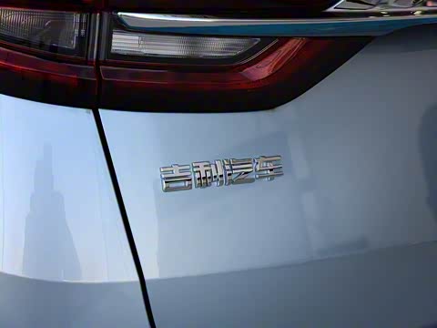 2019�� 1.5TD MHEV DCT������