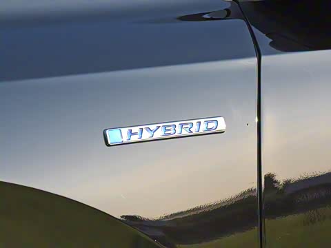 2020�� �񡤻춯 2.0L �����񡤻�ҹ��