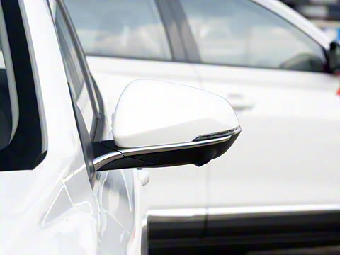 2020�� 230T �Զ��ſ�������