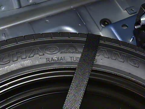 2021�� T5 ���������˶���