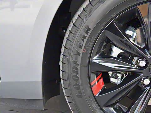 2019�� Redline 320T ˫���ˬ��� ��VI