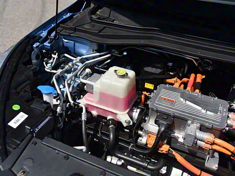 2020�� ��������