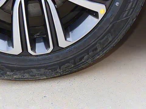 2020�� 290TGDI �Զ�������