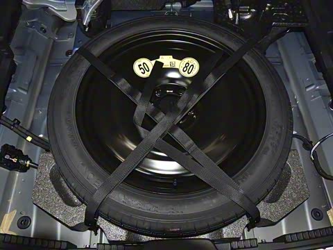 2021�� T5 ���������˶���