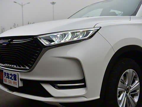 2020�� 1.5T �ֶ���Ӣ��