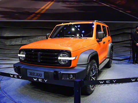 2021�� ԽҰ�� 2.0T ������