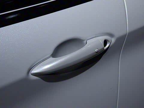 2019�� 2.9T 510HP F1������