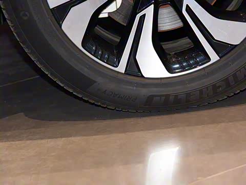 2019�� �� 530