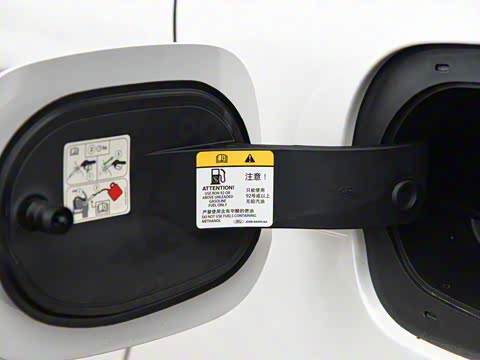 2019�� EcoBoost 245 ������