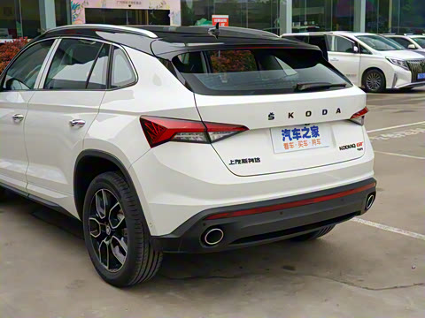 2021�� TSI380 ����������