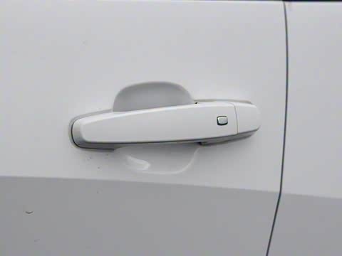 2019�� Redline 550T �Զ����ǰ�