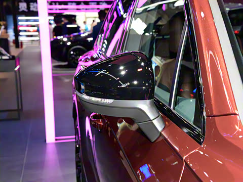 2021�� 3.0TSI �����