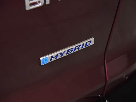 2020�� �񡤻춯 2.0L ����������