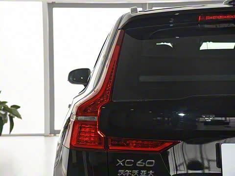 2019�� T5 ���������˶��� ��VI