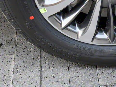 2019�� 2.0T ���������� ��VI